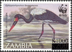 WWF overprint - Ephippiorhynchus Senegalensis