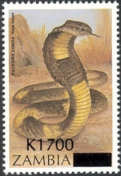 Overprint - Egyptian cobra