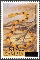 Stamp, Overprint - Tiger snake, Zambia,  