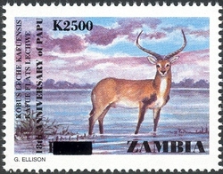 Papu Overprint - Kapue Flats Lechwe