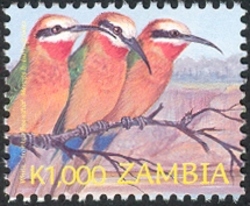 Birds of Zambia - new values - Merops b bullockoides