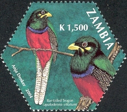 1st SAPOA issue - Bar-tailed Trogon