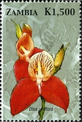 Stamp, Orchids of Zambia - Disa uniflora, Zambia,  
