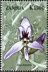 Stamp, Orchids of Zambia  - Disa draconis, Zambia,  