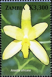 Stamp, Orchids of Zambia  - Ansellia africana, Zambia,  