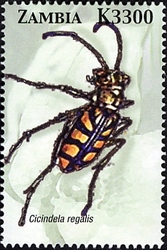 Stamp, Beetles of Zambia - Cicindela regalis, Zambia,  