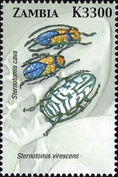 Stamp, Beetles of Zambia - Sternotomis virescens, Zambia,  