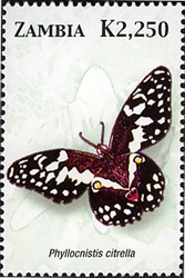 Stamp, Butterflies of Zambia - Phyllocnistis citrella, Zambia,  