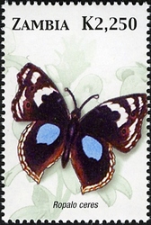 Stamp, Butterflies of Zambia - Ropalo ceres, Zambia,  