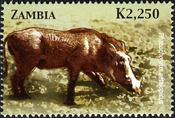 Stamp, Animals of Zambia and Africa - Phacochoerus aethiopicus, Zambia,  