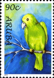 Parrots 2010