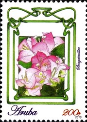Flowers of Aruba 2010 - Bougainvillea
