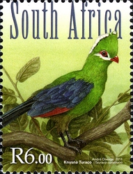 South African Forest Birds - Knysna Turaco