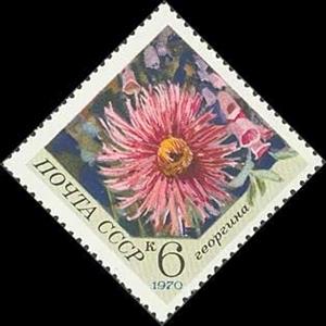 Stamp, Dahlia, Soviet Union, USSR,  , Flowers, Plants (Flora)