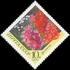 Stamp, Phlox, Soviet Union, USSR,  , Flowers, Plants (Flora)