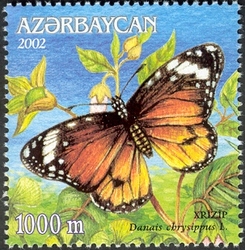 Butterflies - Danais chrysippus L.