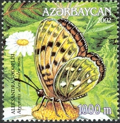 Butterflies - Argynnis alexandra men.