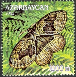 Stamp, Butterflies - Brahmaea christoph., Azerbaijan,  