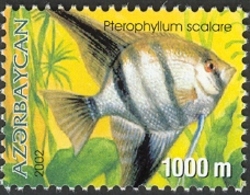 Aquarian Fishes - Pterophyllum scalare