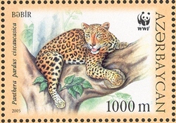 Stamp, WWF Red Book - Caucasus Leopard, Azerbaijan,  