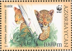 WWF Red Book - Caucasus Leopard