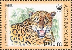 WWF Red Book - Caucasus Leopard