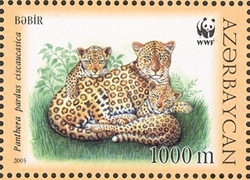 WWF Red Book - Caucasus Leopard