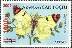 Butterflies - Surcharged - Zegris menestho