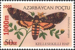 Butterflies - Surcharged - Manduca atropos