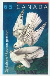 John James Audubon's Birds - Gyrfalcon