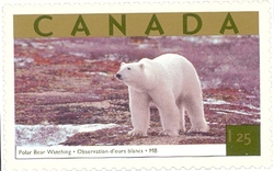 Tourist Attractions - Polar Bear Watching