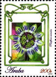 Flowers of Aruba 2010 - Passiflora caerulea