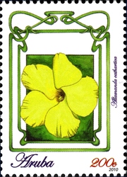 Flowers of Aruba 2010 - Allamanda cathartica