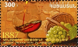 Brandy production in Armenia