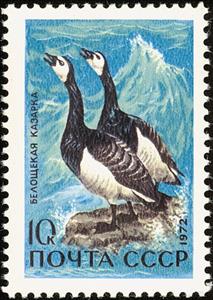Stamp, Barnacle Goose (Branta leucopsis), Soviet Union, USSR,  , Birds
