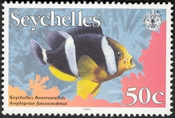Seychelles Anemonefish