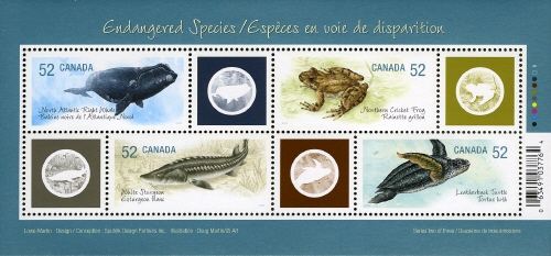 Souvenir Sheet