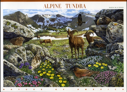 Souvenir Sheet