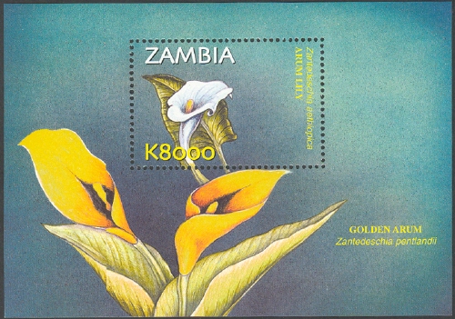 Souvenir Sheet