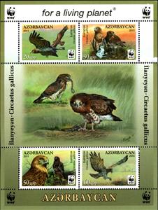 Mini Sheet, Souvenir Sheet, Azerbaijan,  