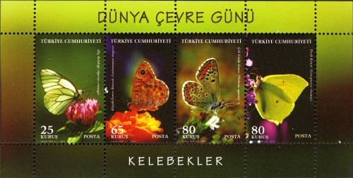 Souvenir Sheet
