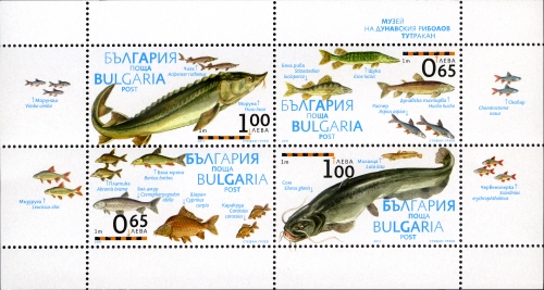 Mini Sheet, Souvenir Sheet, Bulgaria,  