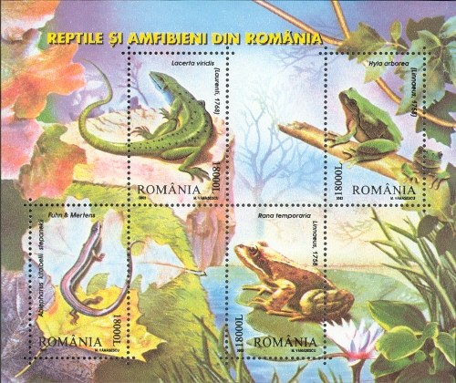 Souvenir Sheet