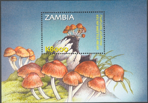Souvenir Sheet