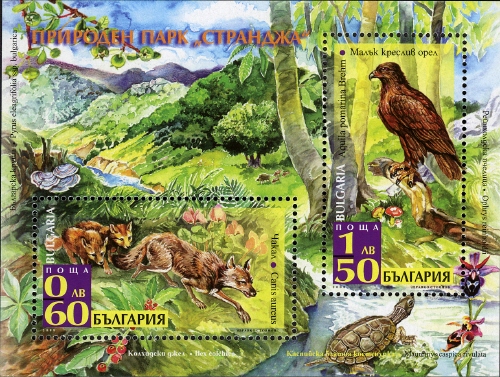 Souvenir Sheet