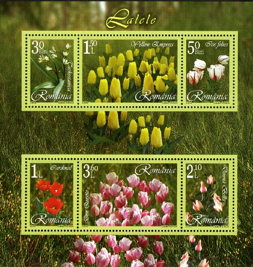 Souvenir Sheet