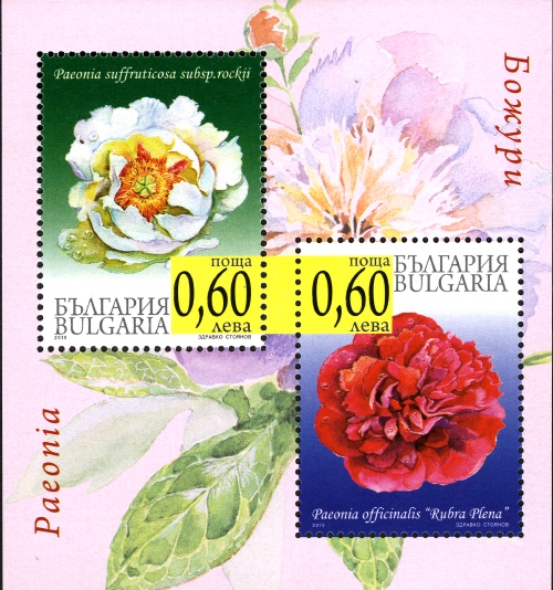 Souvenir Sheet