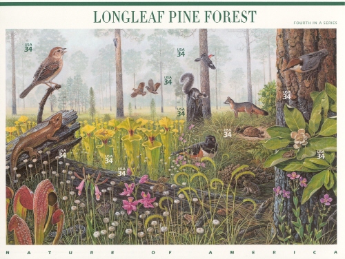 Souvenir Sheet
