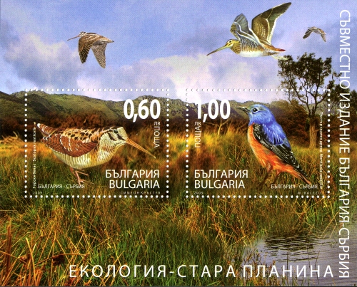 Souvenir Sheet