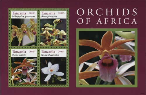 Souvenir Sheet